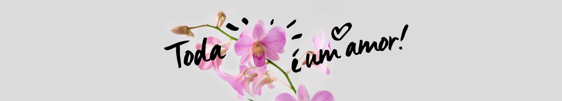 bannerdesktop2